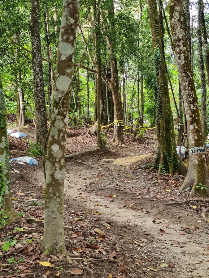 Le Park Mountain Bike Trail