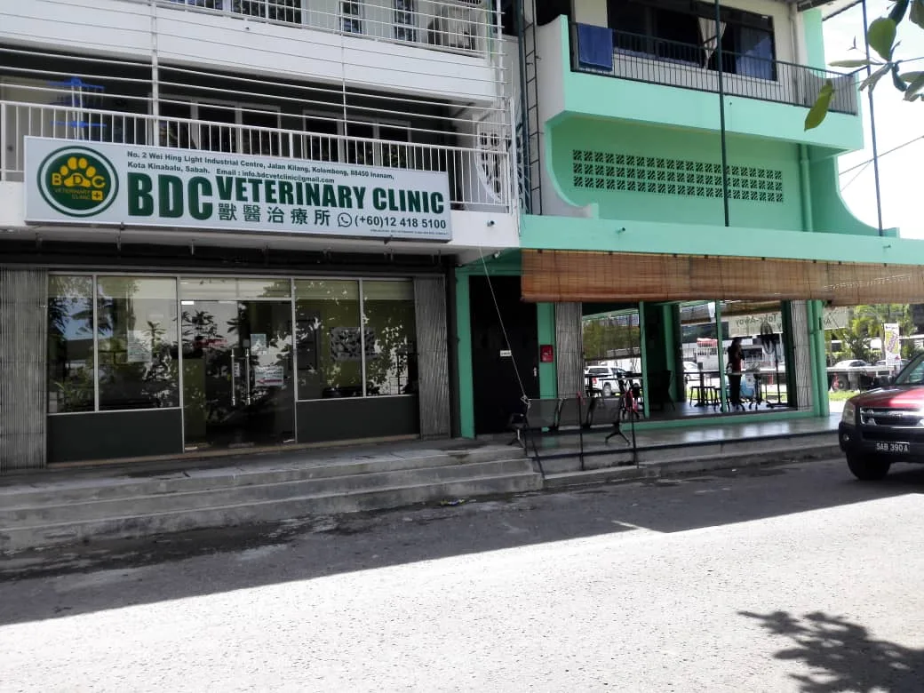 BDC Veterinary Clinic