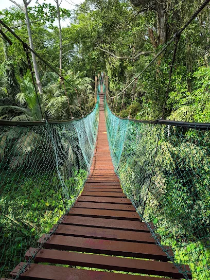 Hutan Pelajaran Air Hitam Dalam