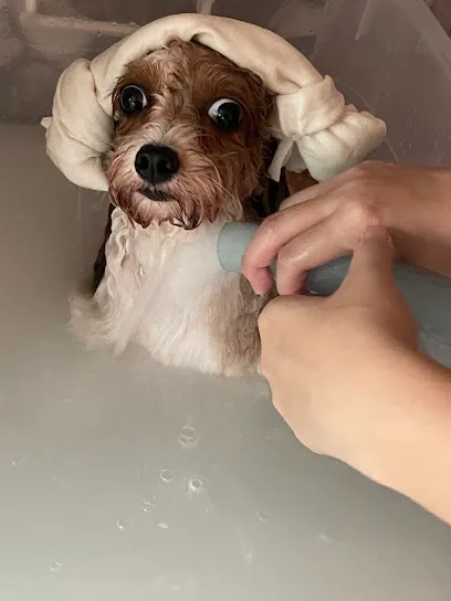 Happy Pawz Pet Care Centre