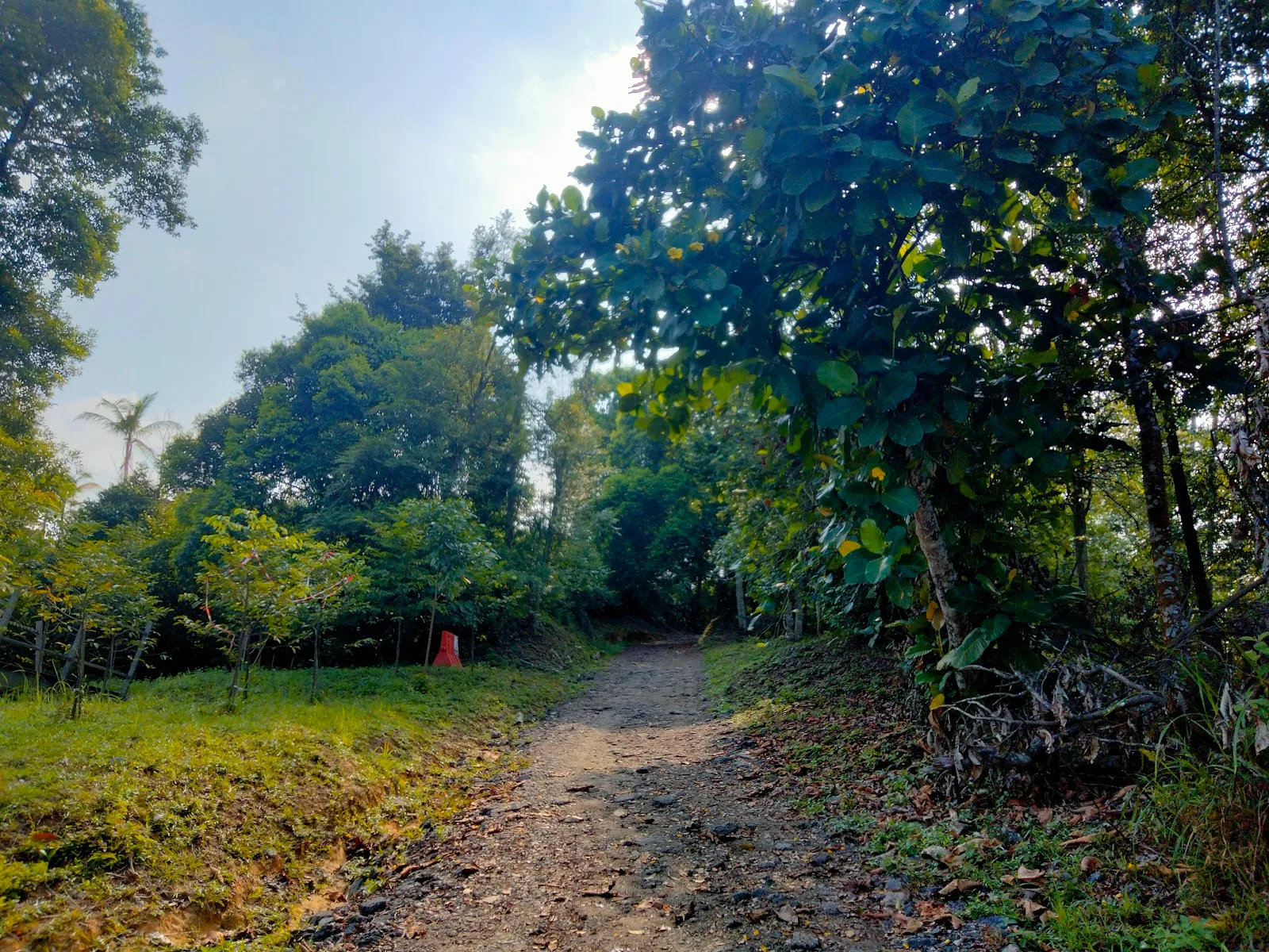 Sireh Park