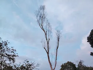 Kiara Hills Federal Park