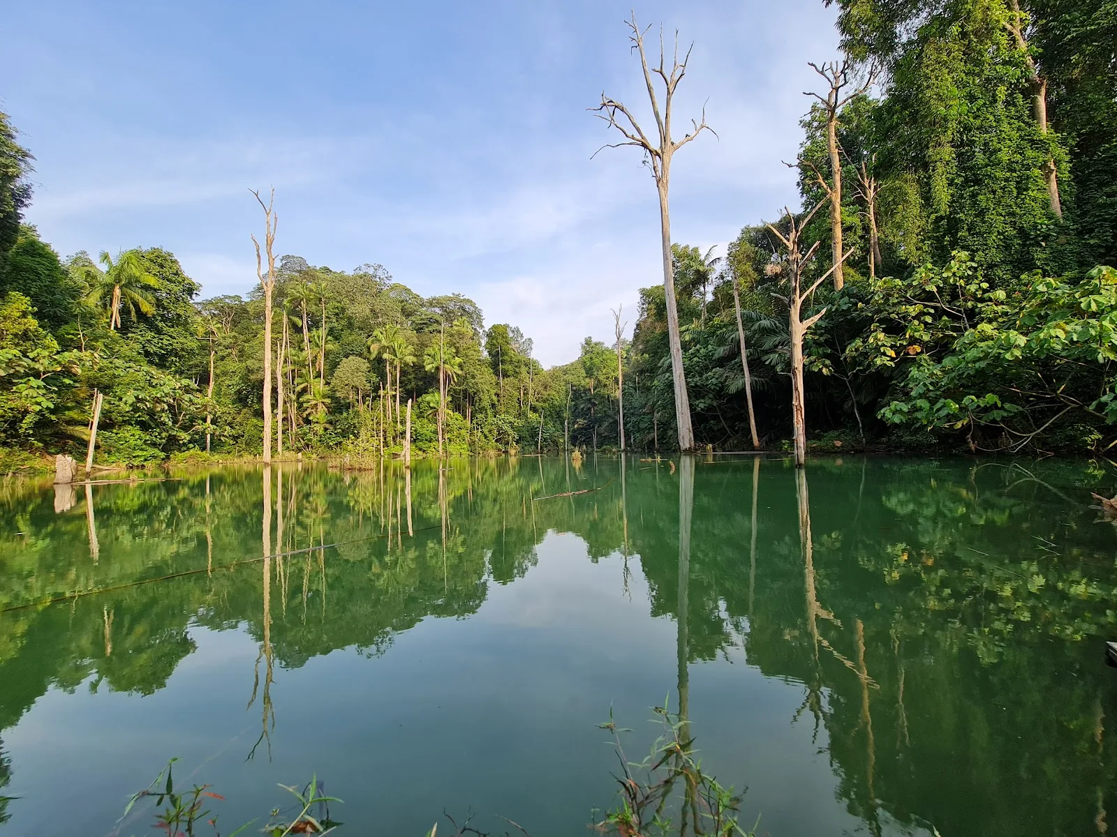 Shah Alam Community Forest Trail
