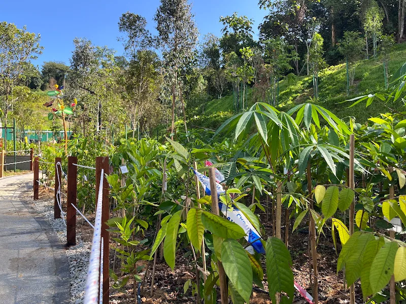 KL East Micro Forest