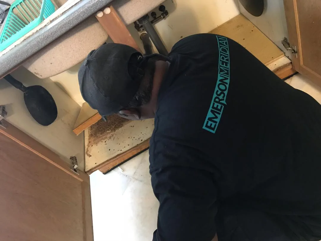 Emerson Meridian Sdn Bhd- Pest Control Services in Ipoh, Perak