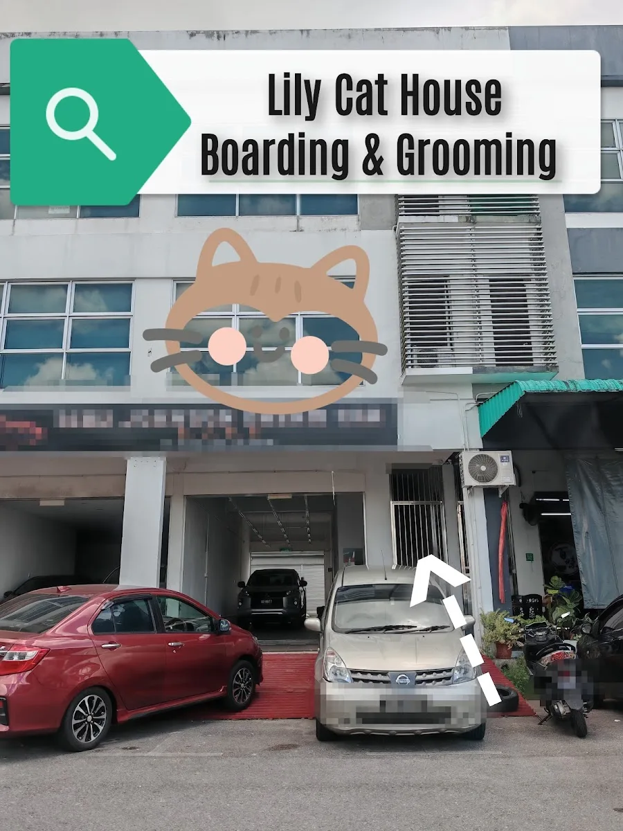 Sibu Lily Cat House Boarding & Grooming