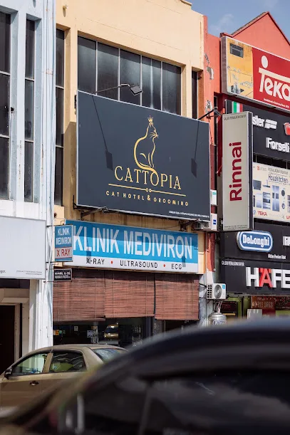 Cattopia - Exclusive Cat Hotel Boarding and Grooming in Shah Alam
