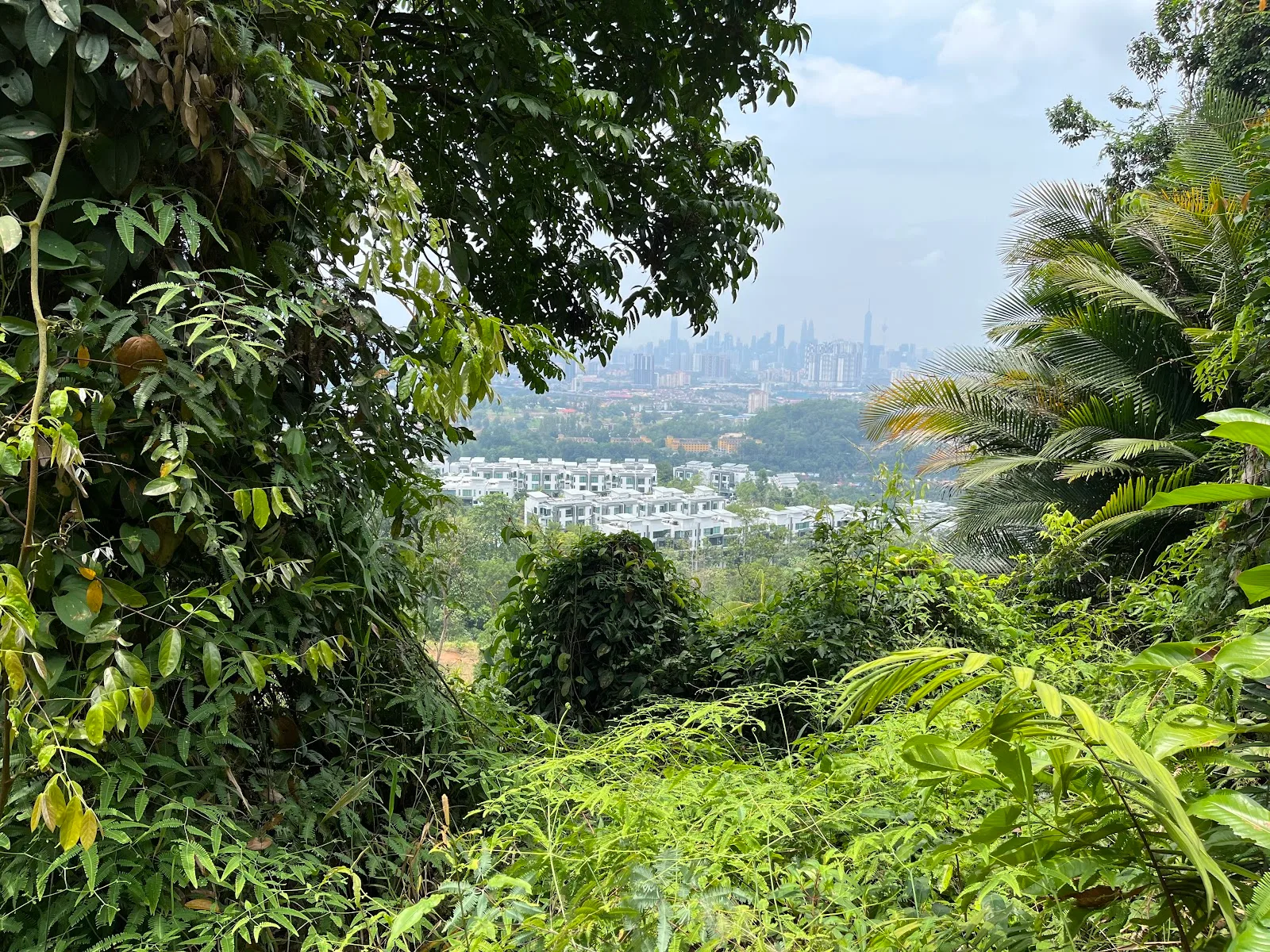 The East Park
