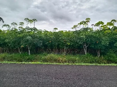 二河村农场