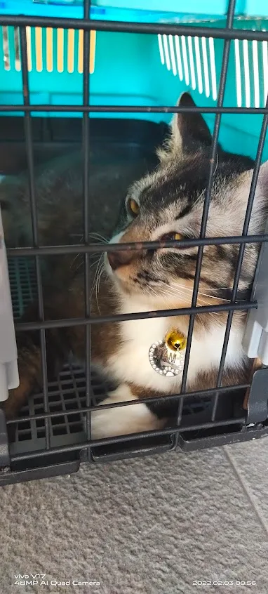 Pejabat Perkhidmatan Veterinar Daerah Seberang Perai Utara