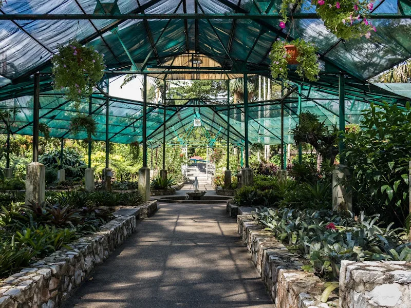 Herb and Spice Garden