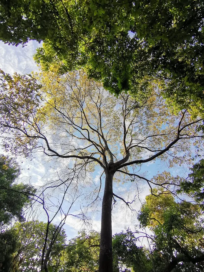 Taman Rakyat Klang
