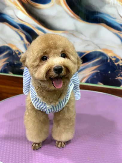 Pet Park Groomers