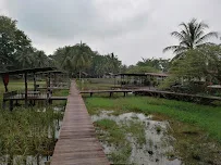 Laman Padi Langkawi