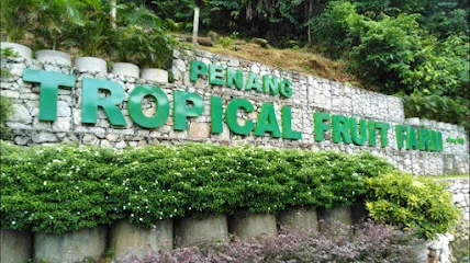 Ladang Buah Tropika Pulau Pinang