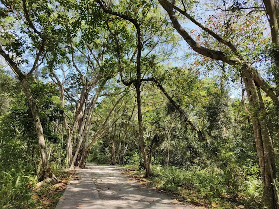 Kuala Selangor Nature Park