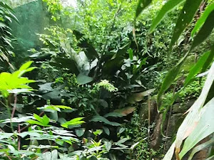 Kuala Lumpur Butterfly Park
