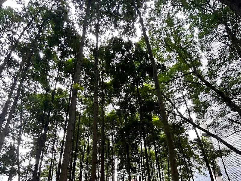 Taman Standard Chartered Kuala Lumpur