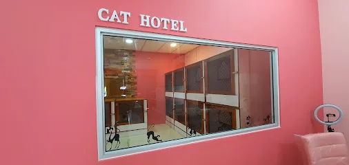 Kedai Kucing Animal Kingdom
