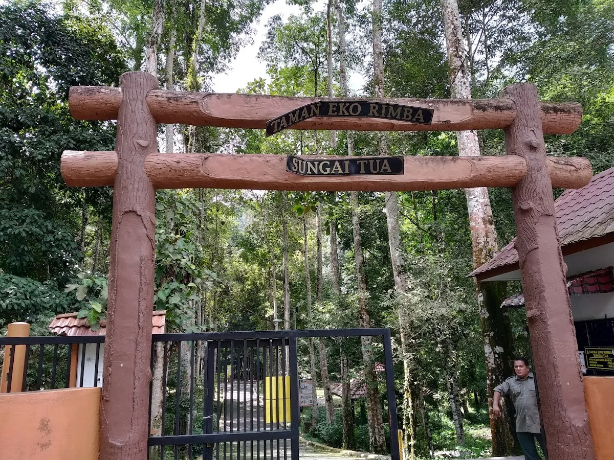 Sungai Tua Eco Forest Park