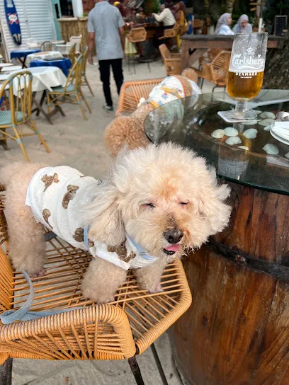 Fluffy Pets Penang