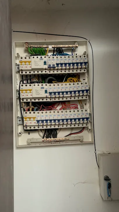 She Electrician