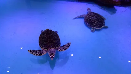 The Shore Oceanarium