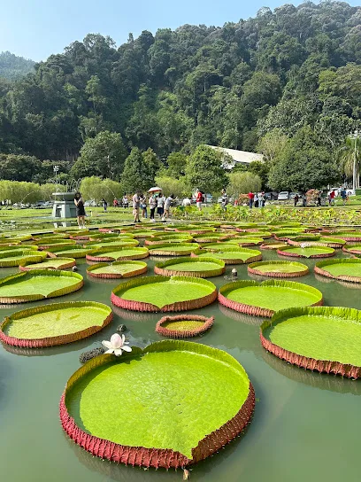 Taman Botani Pulau Pinang