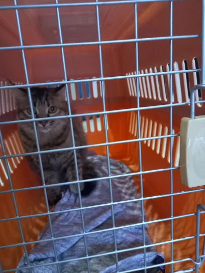 Jabatan Perkhidmatan Veterinar Negeri Pulau Pinang
