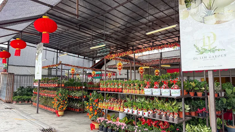 DL LIM GARDEN