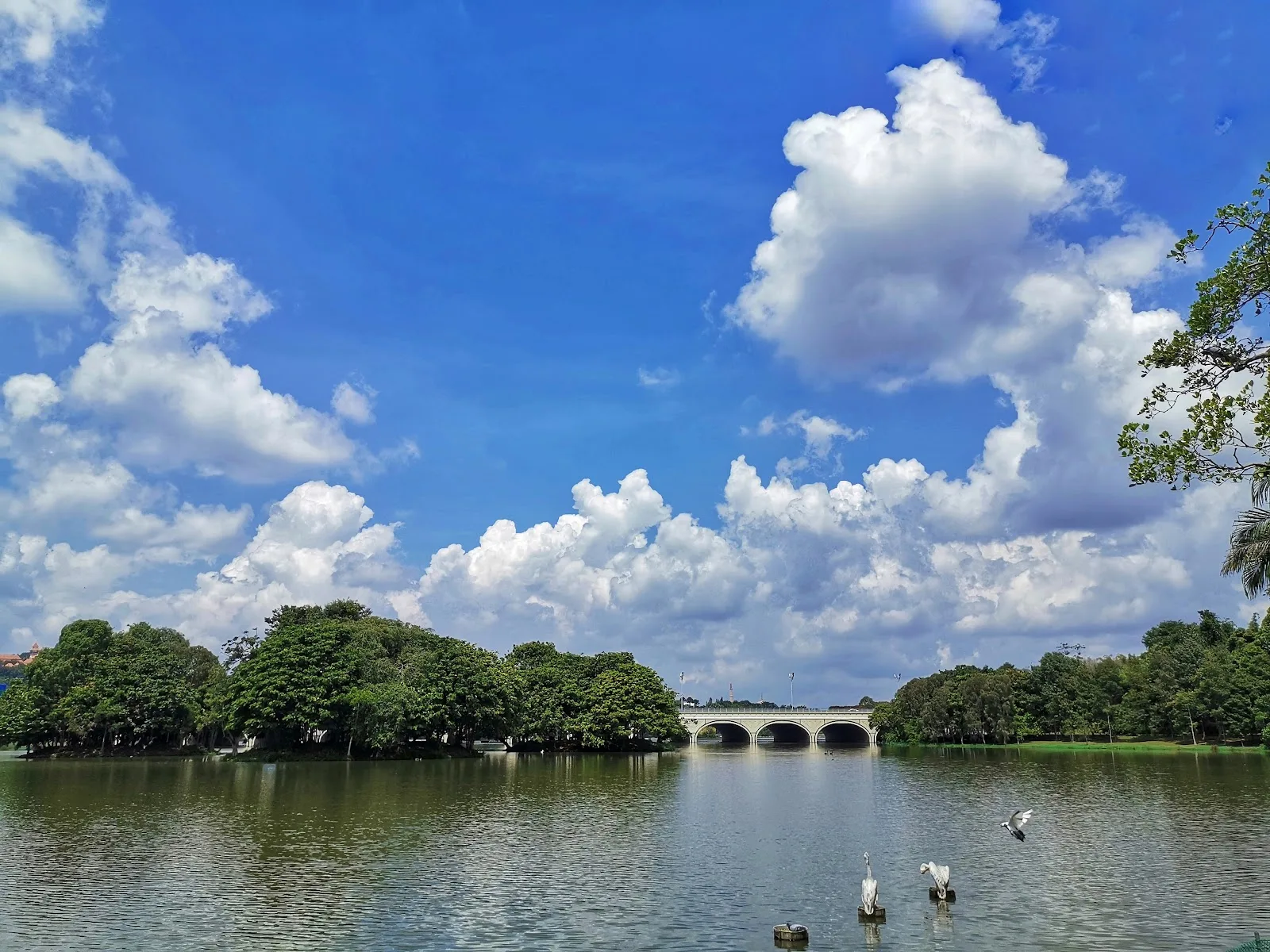 Putrajaya Wetlands Park