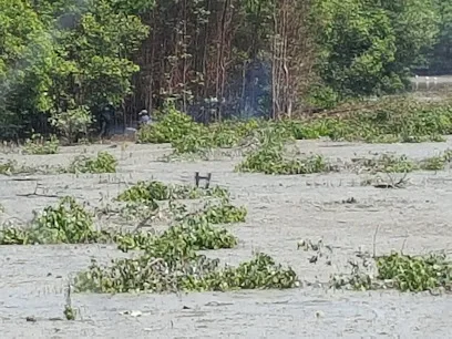 Jabatan Perhutanan Negeri Pulau Pinang