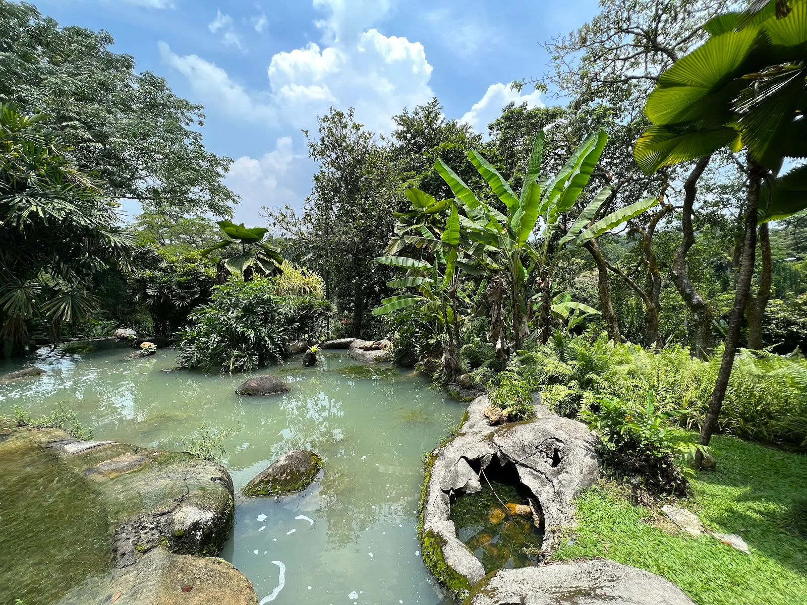 Oasis Garden