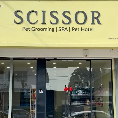 Scissor Pet Grooming @ PJ Old Town