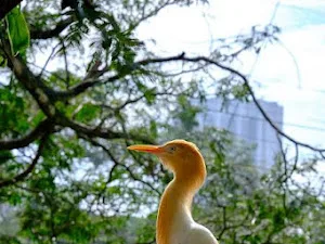 Kuala Lumpur Bird Park