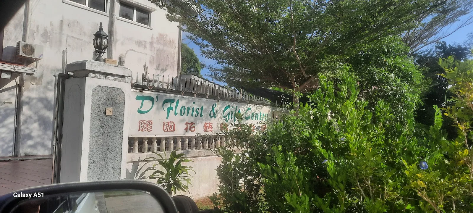 D'Florist & Gift Centre - MAIN SHOP