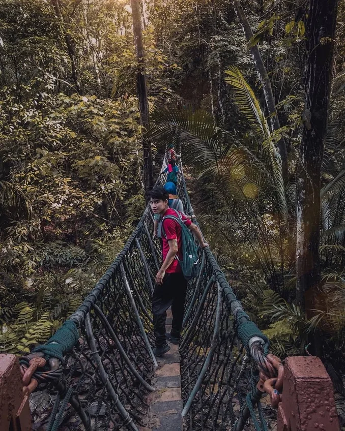 Bukit Gasing