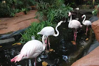 Taman Hidupan Liar Langkawi