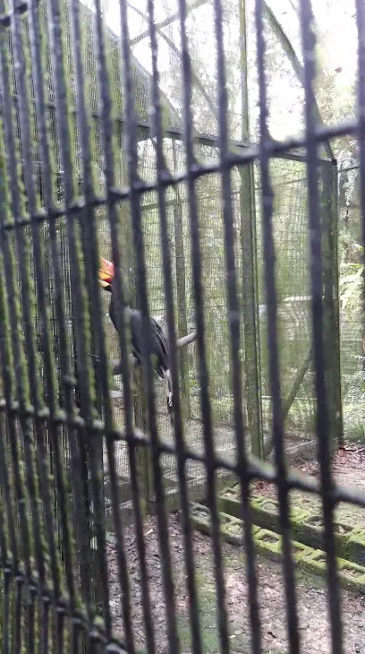 Taman Tumbina