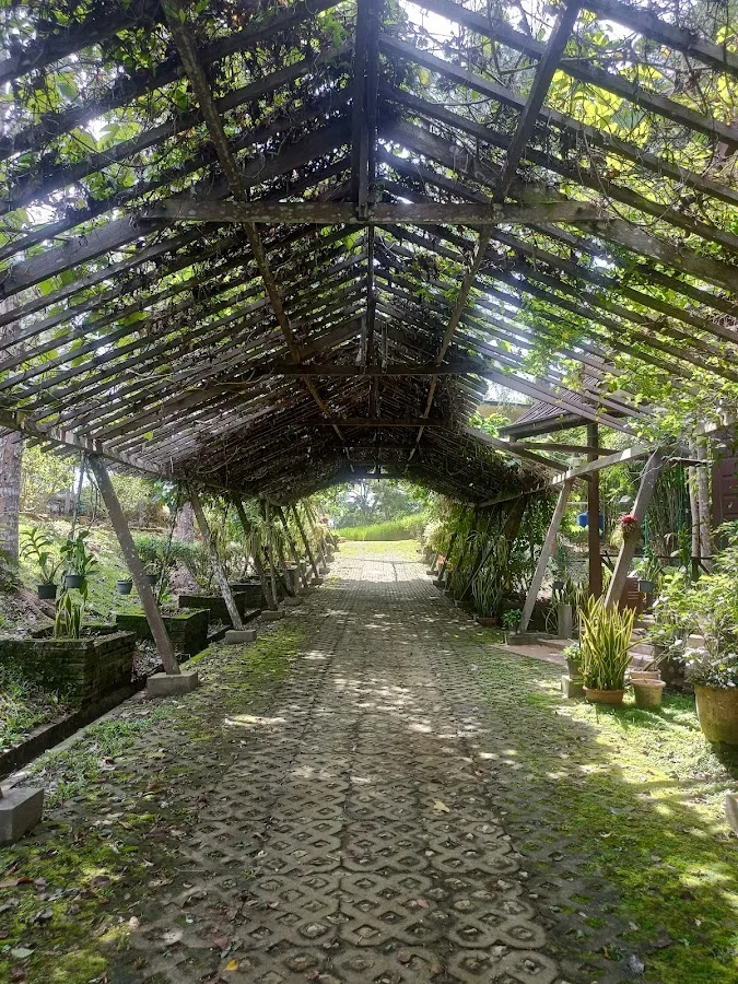 Dhamma Earth Kuching