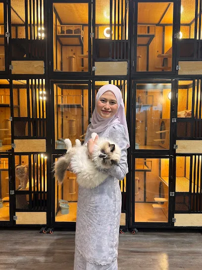 Catmosphere