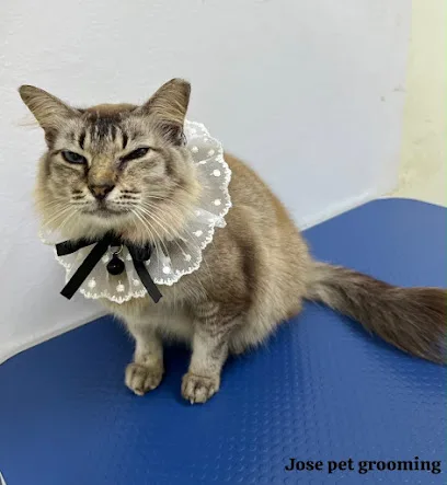 Jose pet grooming