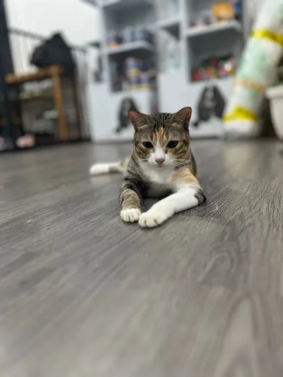 QQ Pet Boarding