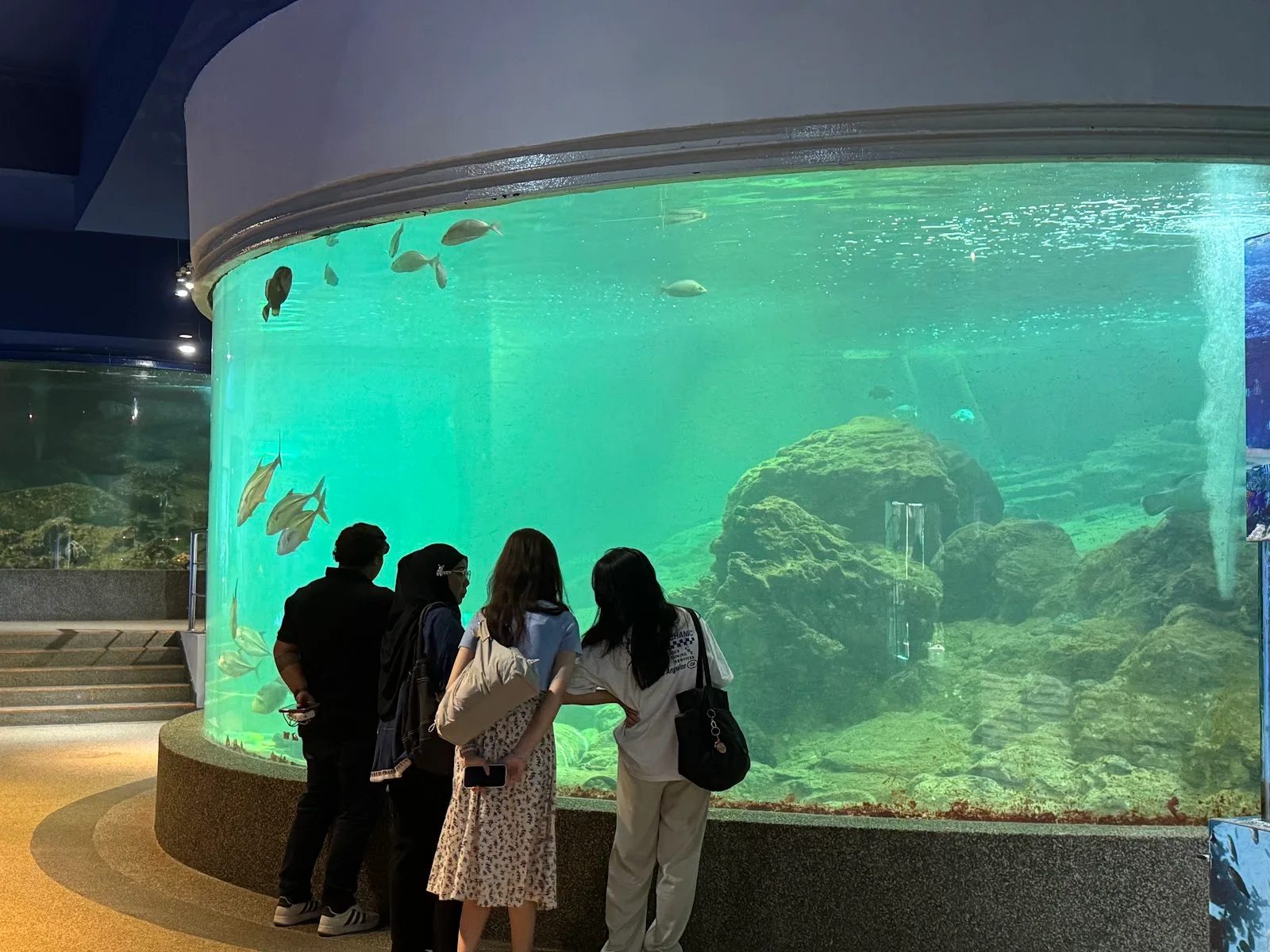 UMS Aquarium & Marine Museum