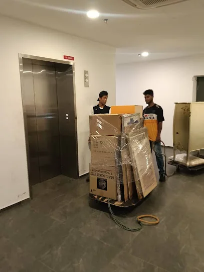 ANYTIME MOVERS