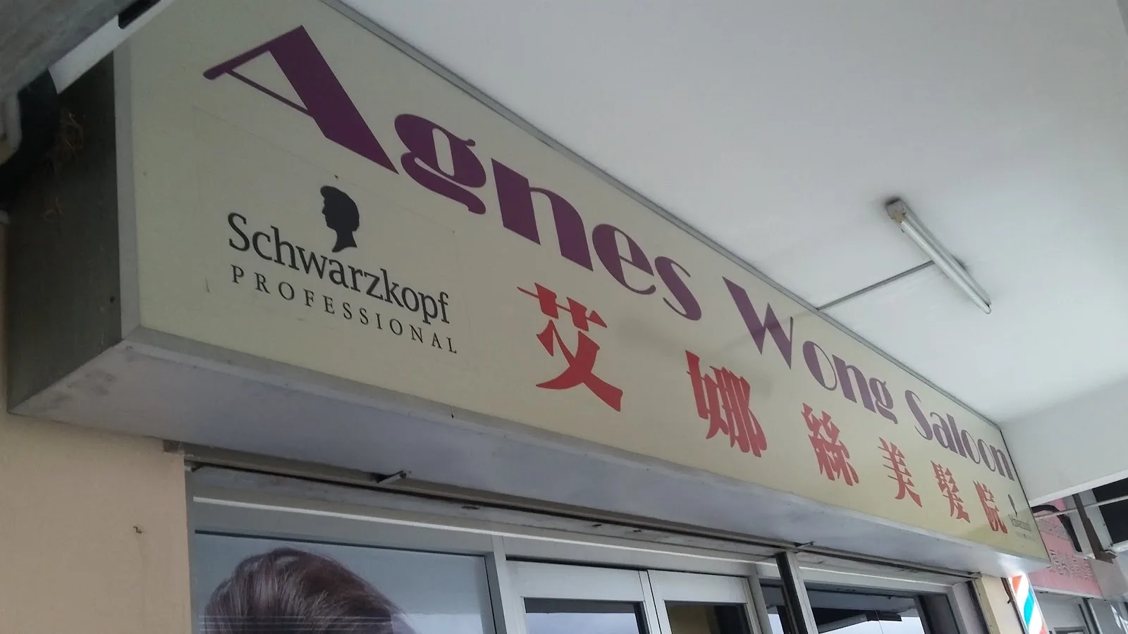 Agnes Wong Saloon