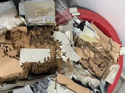 Insecta Termites & Pest Control (Penang Island)