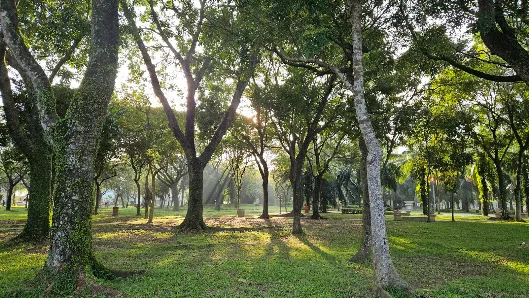 实达阿南中央公园